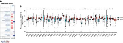 The Prognostic Value and Immune Infiltration of USP10 in Pan-Cancer: A Potential Therapeutic Target